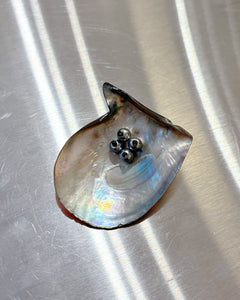 Sea shell brooch