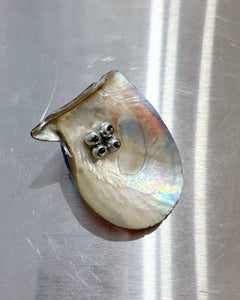 Sea shell brooch