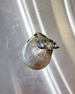 Sea shell brooch